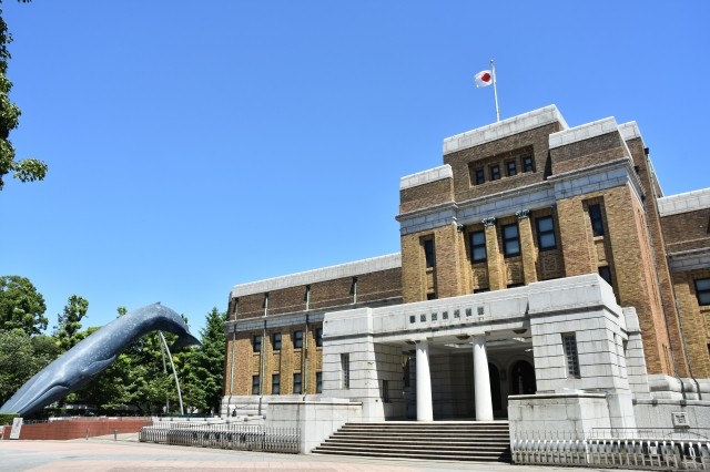 東京都おすすめの美術館と博物館2025年特集